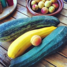 courgettes du jardin