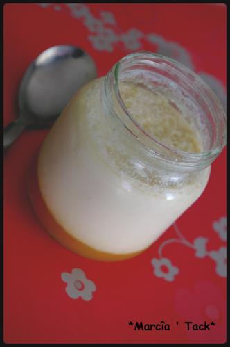 Recette de yaourt fait-maison à la mangue