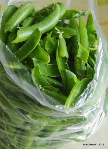 Sachet de pois gourmands verts, frais.