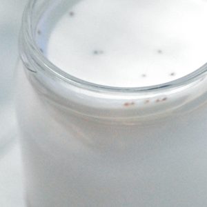 Yaourt maison dans un pot en verre