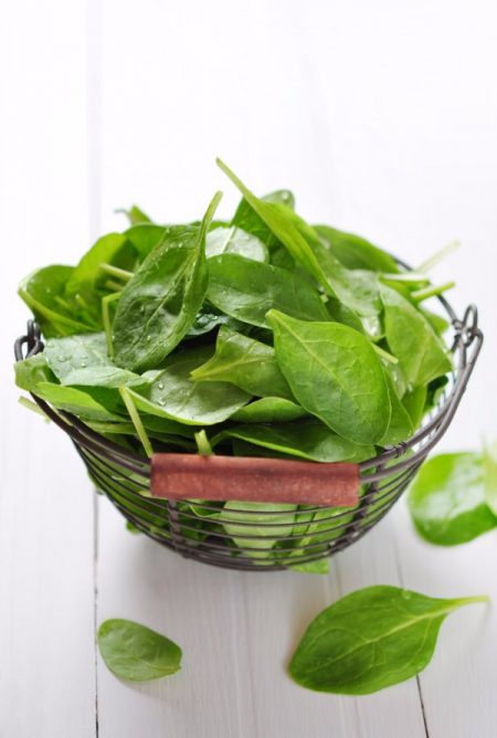 Tout savoir sur l'épinard, comment le préparer et le cuisiner