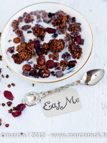 Granola au chocolat et fruits rouges dans un bol