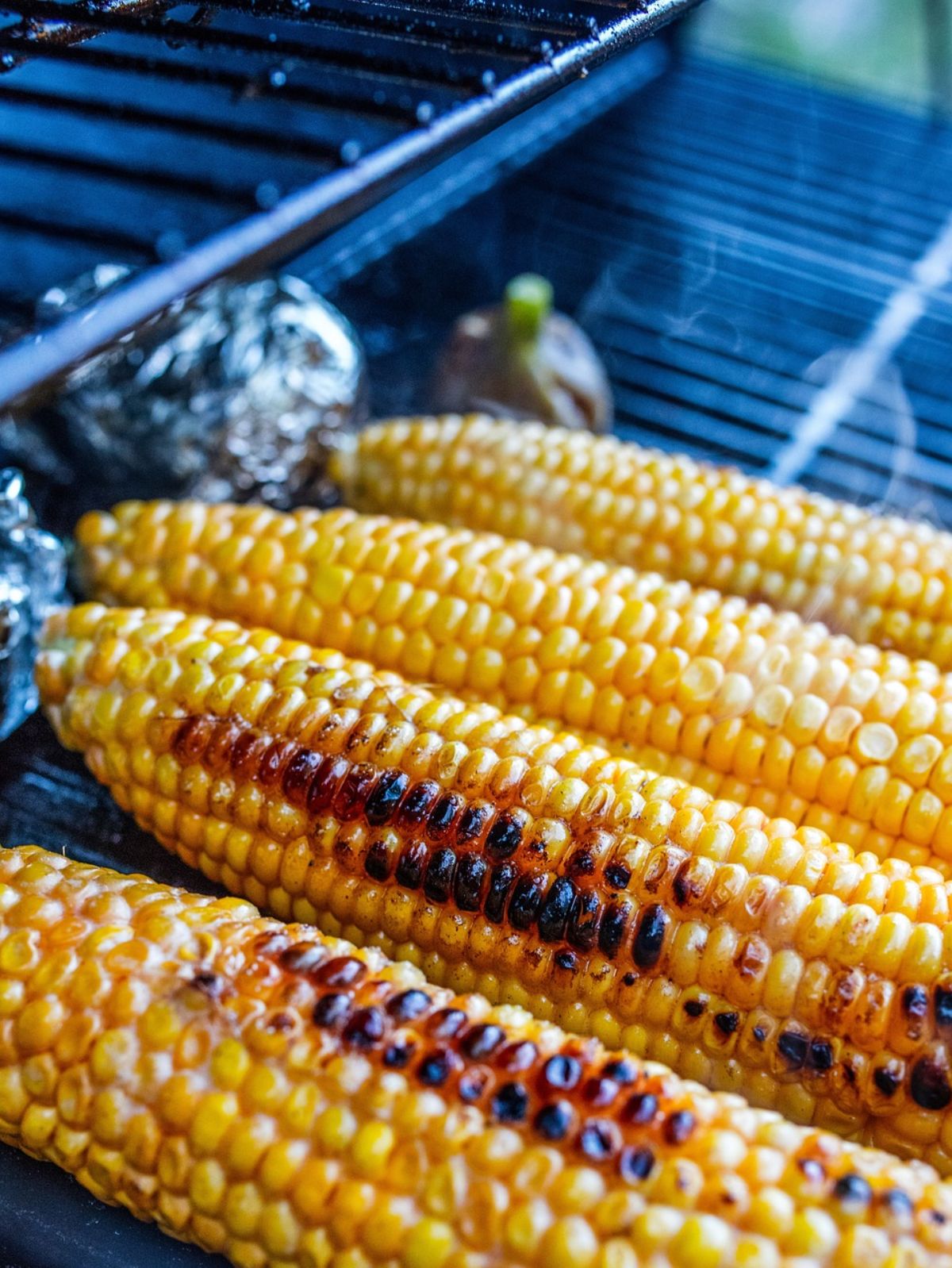 Maïs grillés sur le barbecue, épis de maïs