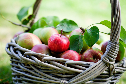 Panier rempli de pommes rouges et vertes