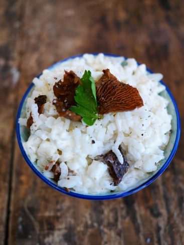 Risotto crémeux aux morilles et persil, vue de dessus
