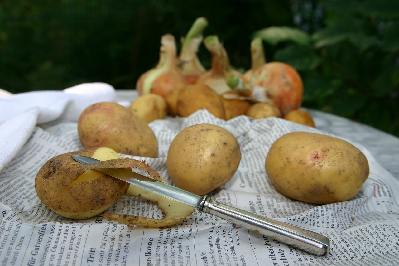 Pommes de terre et oignons sur journal, épluchage