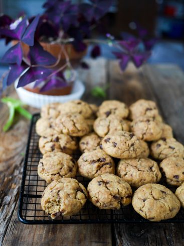 Cookies aux pépites de chocolat sur grille, plante arrière-plan.