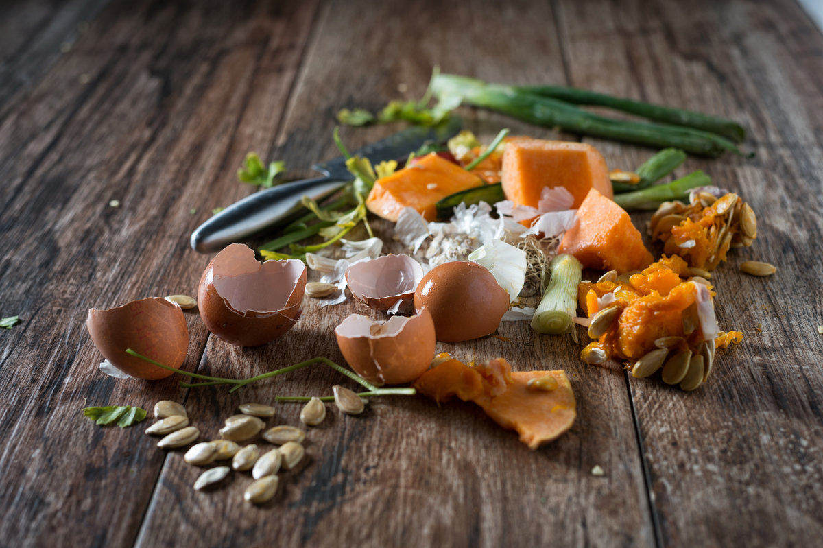 Déchets organiques : coquilles d'oeuf, courge, légumes.