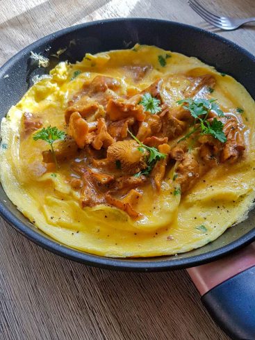 Omelette aux girolles, plat appétissant en gros plan.