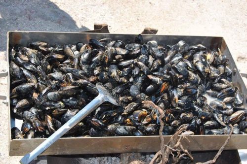 Plateau de moules cuites avec une écumoire.