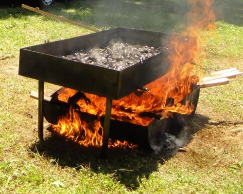 Cuisson de moules au feu de bois dans un barbecue