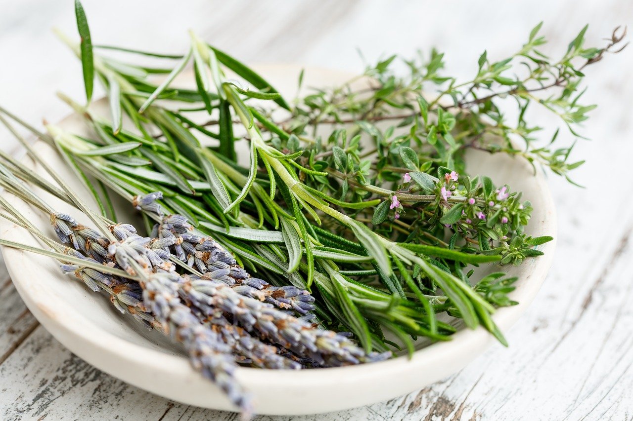 Assortiment d'herbes aromatiques : lavande, romarin, thym.