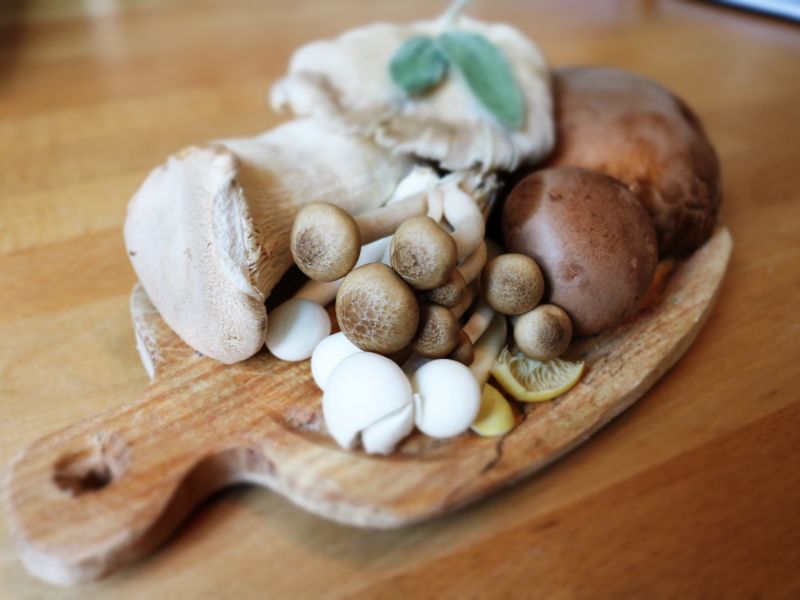 Comment cuisiner une sauce forestière aux champignons ?