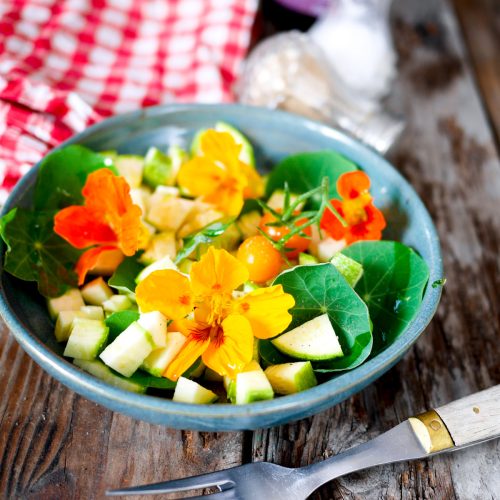salade de capucine
