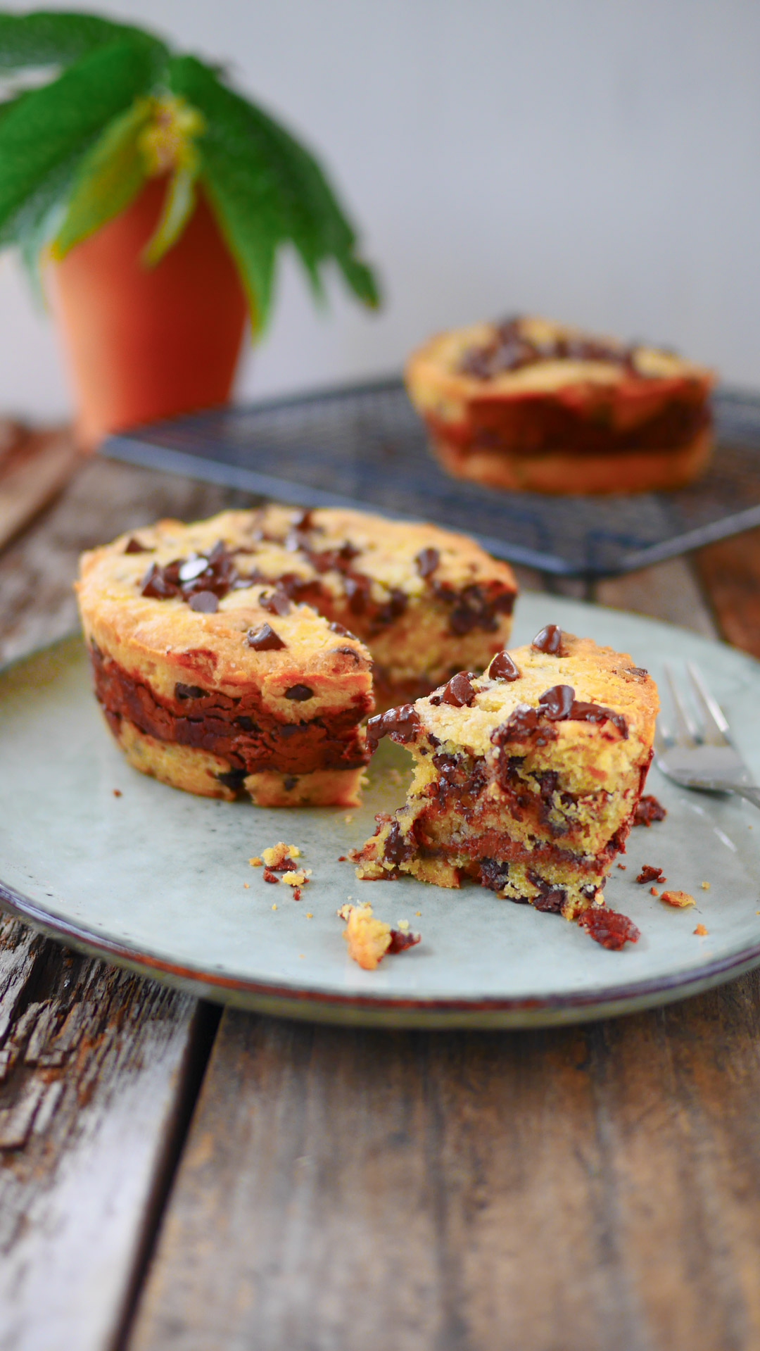 Muffin chocolat et pépites de chocolat sur assiette