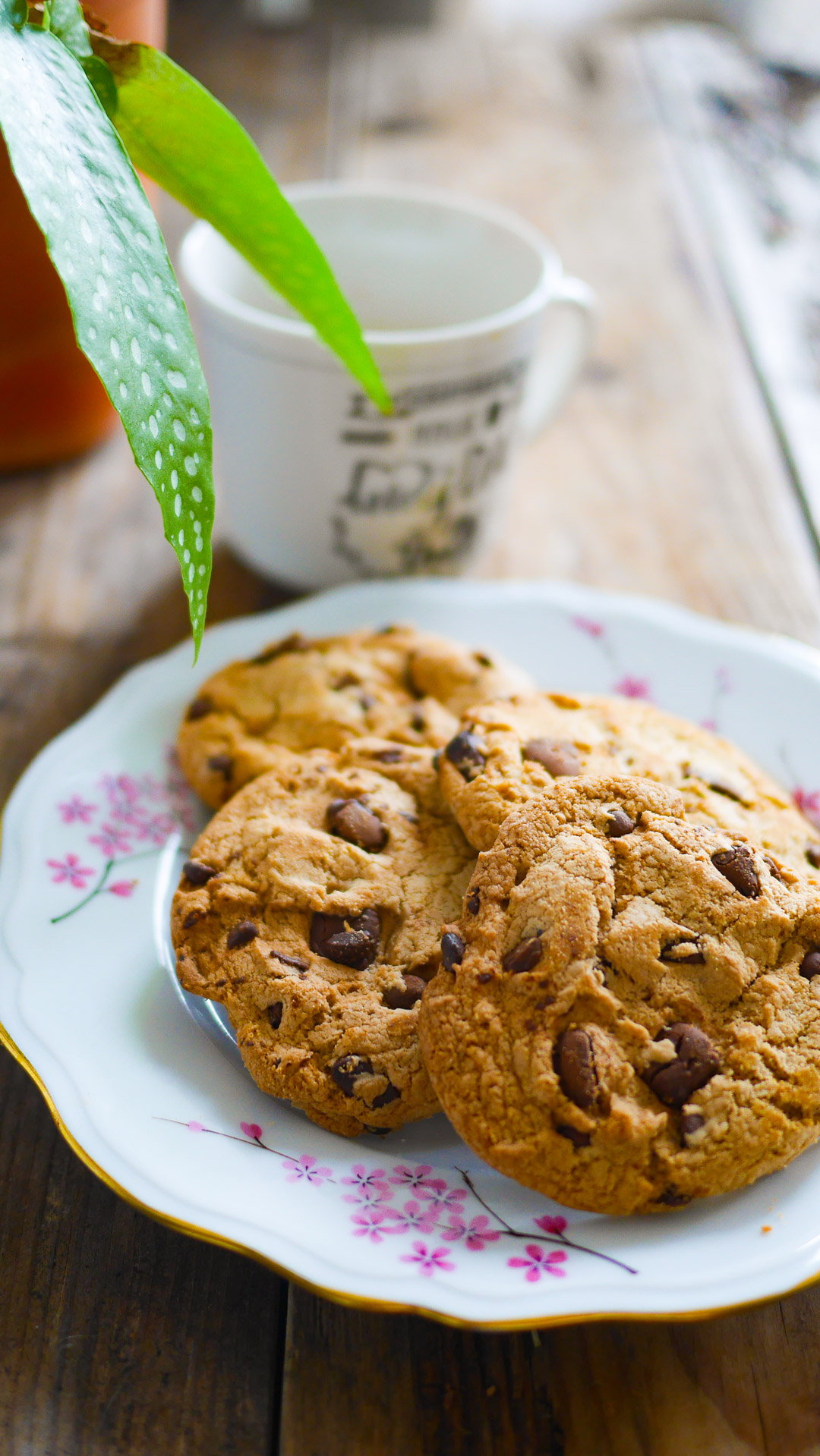 Cookies aux pépites de chocolat avec tasse et plante.