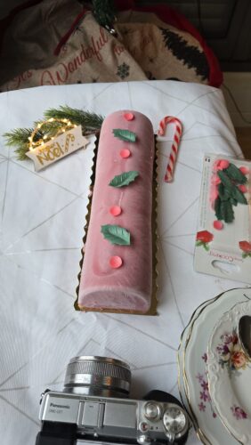bûche de Noël framboise insert à la pistache