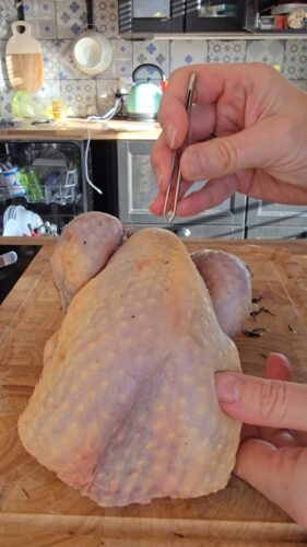 Préparation d'une volaille : plume avec une pince.
