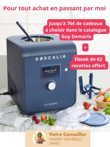 Machine à glace BOREALIA Guy Demarle - Offre spéciale