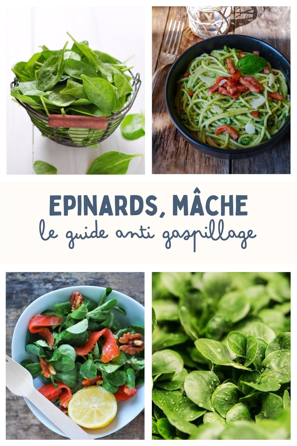 Guide anti-gaspillage : épinards, mâche, recettes.