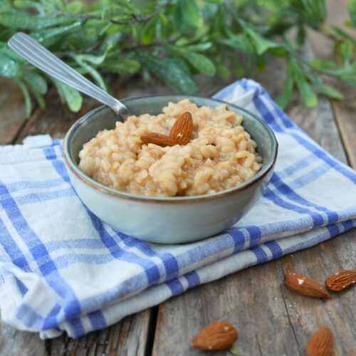 bol de riz au lait cuit avec du lait d'amande
