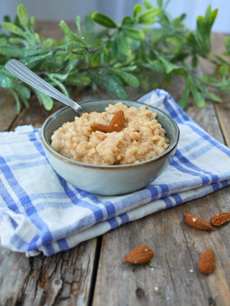 bol de riz au lait cuit avec du lait d'amande